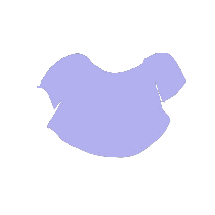 clothes option 2