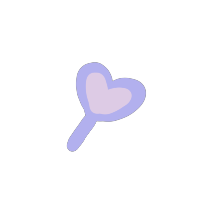 accessory option 2